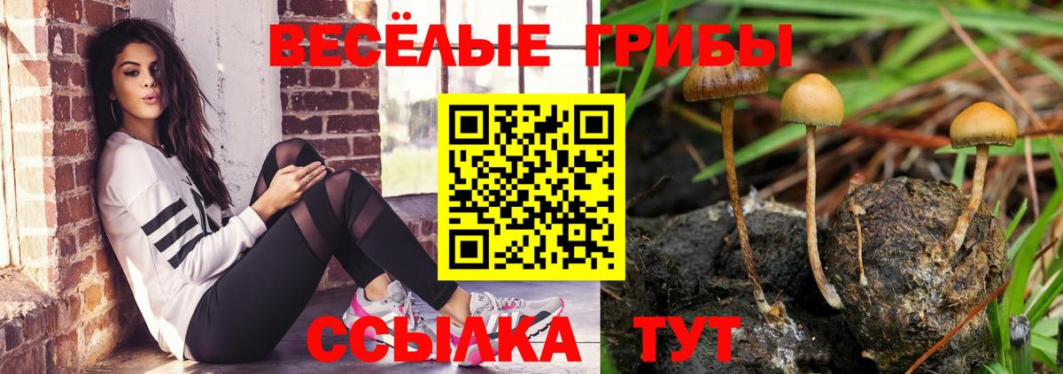Псилоцибиновые грибы прущие грибы Амурск