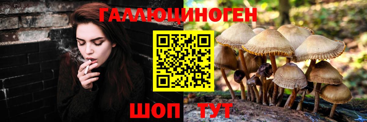 Псилоцибиновые грибы GOLDEN TEACHER  Вход с VPN  Амурск 
